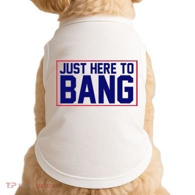 Just Here To Bang 4th Of July Doggie Tank
