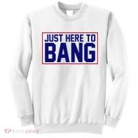 Just Here To Bang 4th Of July Sweatshirt thumb 0