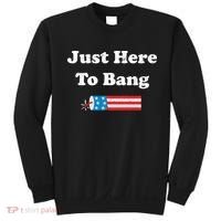 Just Here To Bang 4th July American Flag Sweatshirt thumb 0