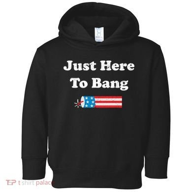 Just Here To Bang 4th July American Flag Toddler Hoodie