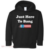 Just Here To Bang 4th July American Flag Toddler Hoodie thumb 0