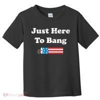 Just Here To Bang 4th July American Flag Toddler T-Shirt thumb 0