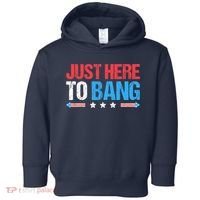 Just Here To Bang Funny Fireworks 4th Of July Toddler Hoodie thumb 0