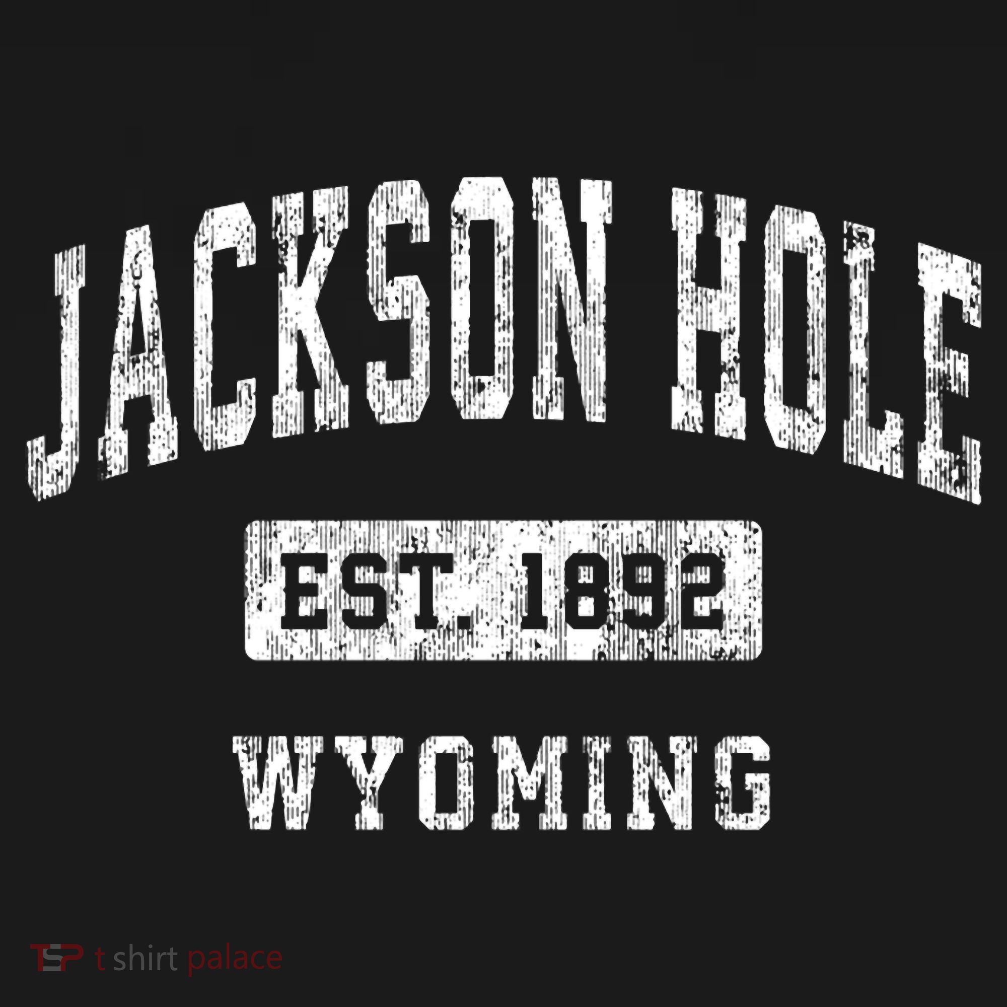 Jackson Hole Wyoming Wy Vintage Established Sports T-Shirt