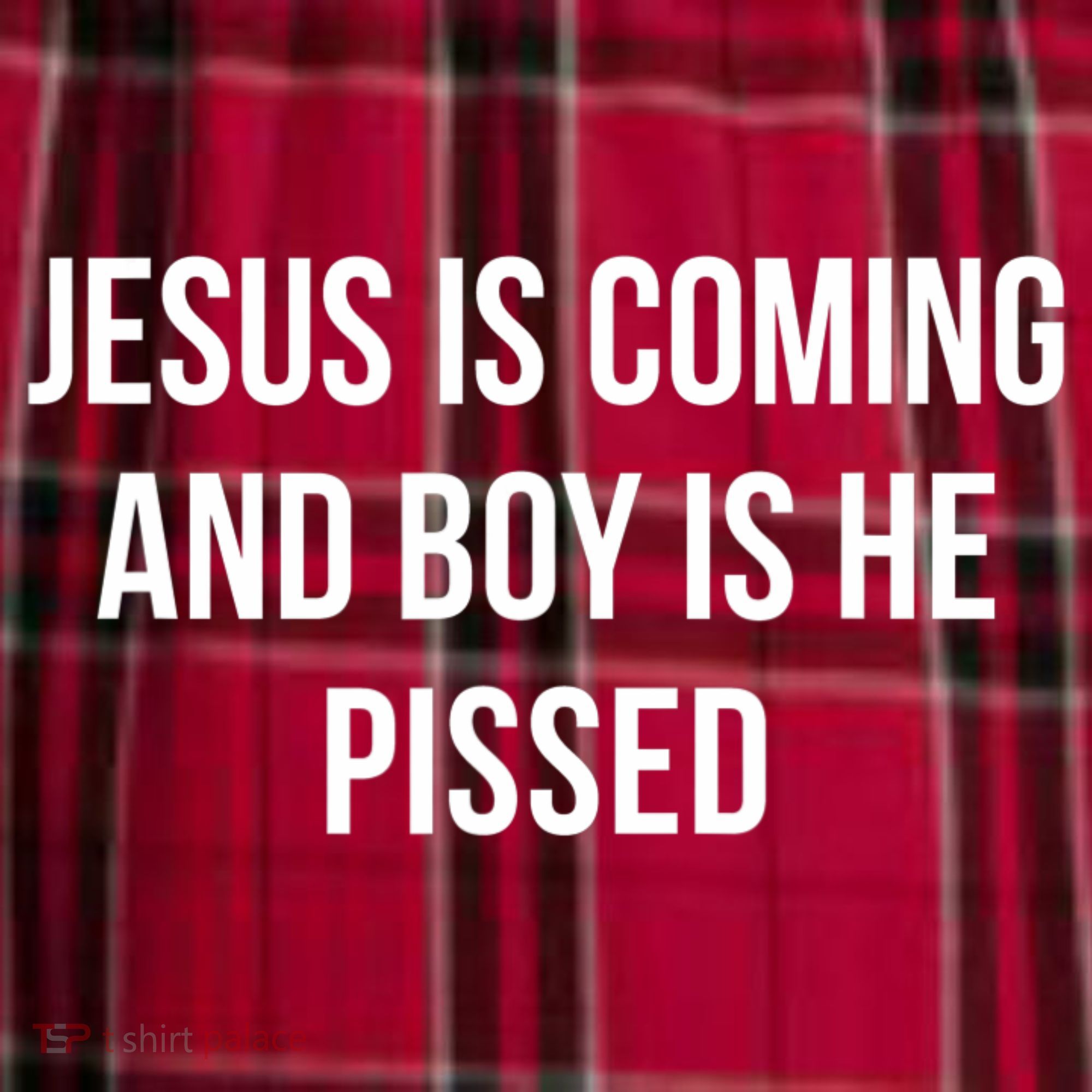 Jesus Is Coming And Boy Is He Pissed Women's Flannel Plaid Pajama Pants