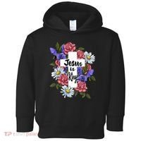 Jesus Is King Jesus Christian Toddler Hoodie thumb 0