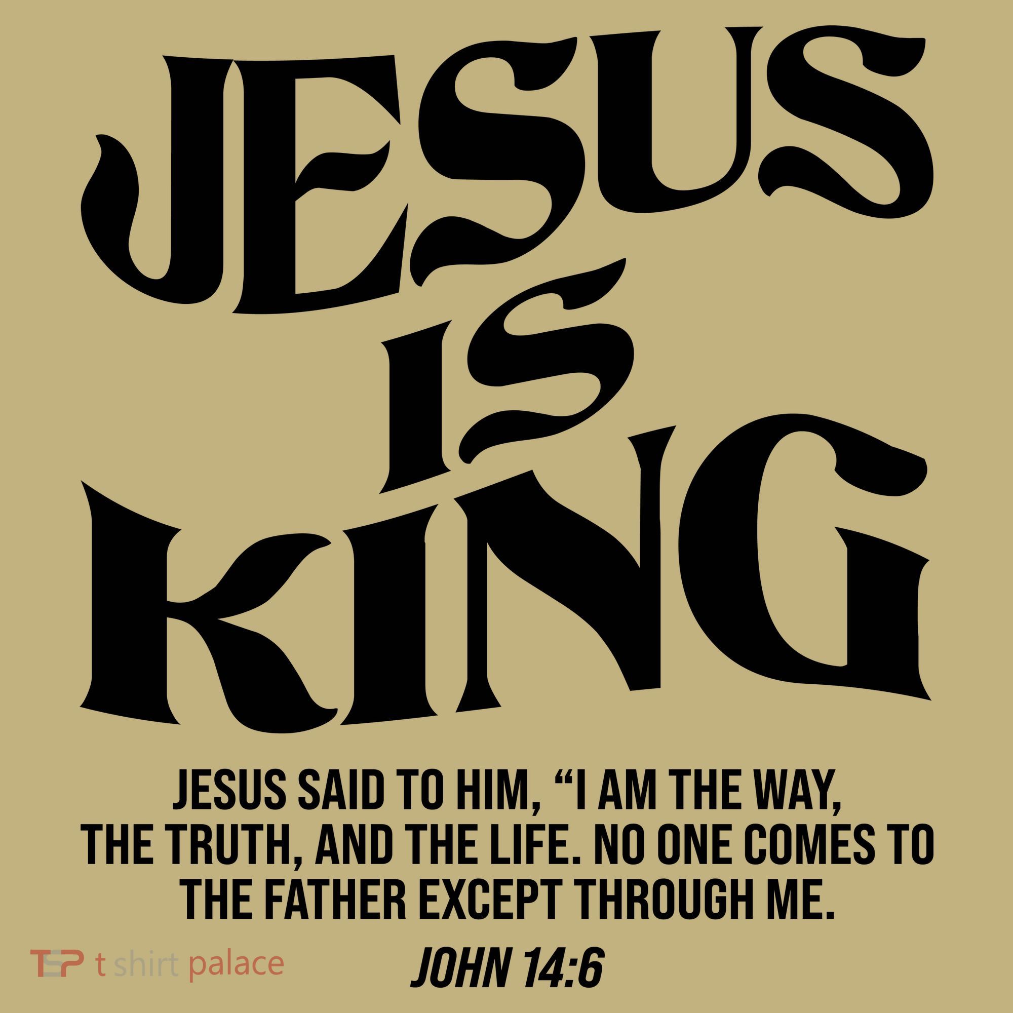 Jesus Is King The Way The Truth The Life Christian Bible Verse John 14:6 Front And Back T-Shirt