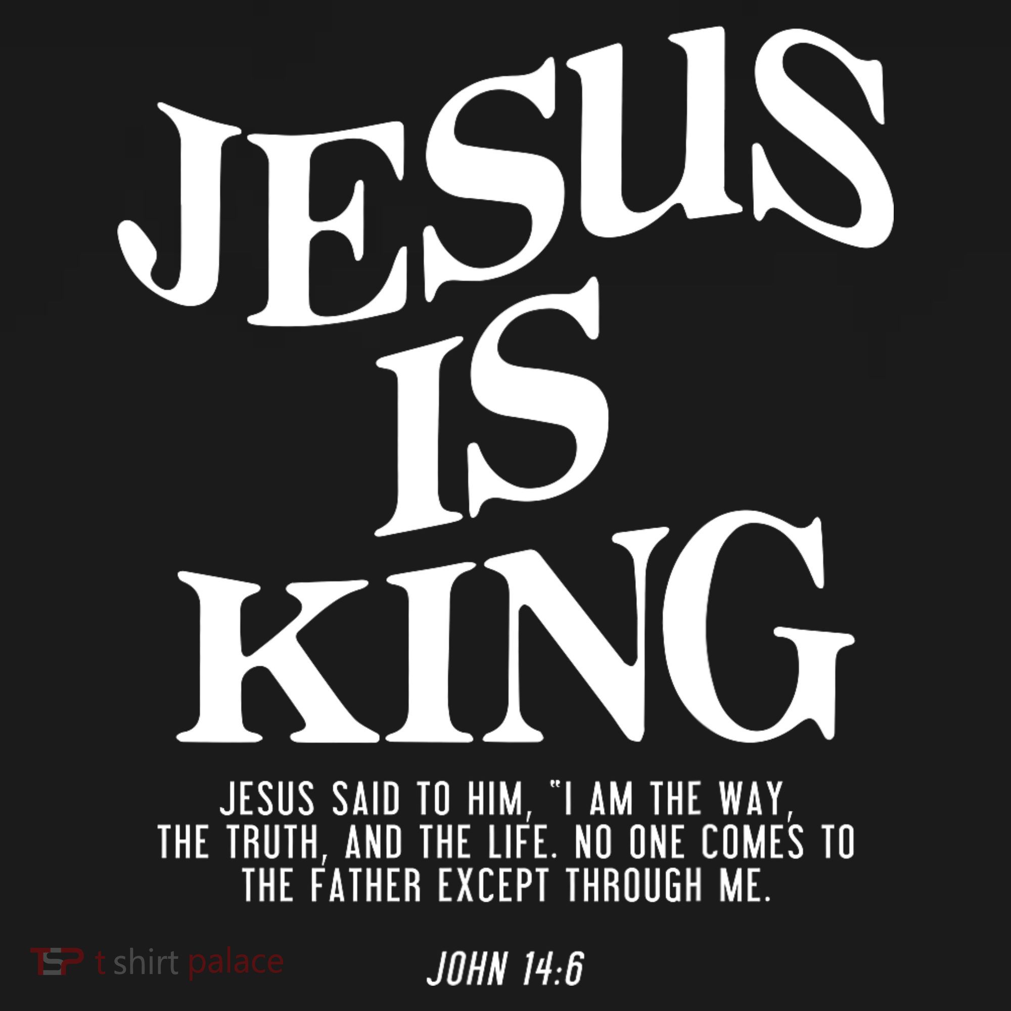 Jesus Is King Jesus John 14:6 Costume Christian T-Shirt