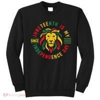 Juneteenth Is My Independence Day Lion Free Ish Since 1865 Sweatshirt thumb 0