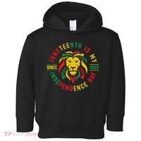 Juneteenth Is My Independence Day Lion Free Ish Since 1865 Toddler Hoodie thumb 0
