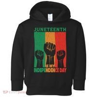 Juneteenth Is My Independence Day Black Queen King Cute Girl Toddler Hoodie thumb 0