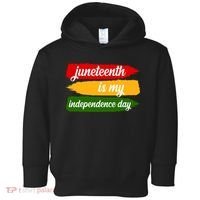 Juneteenth Is My Independence Day Toddler Hoodie thumb 0