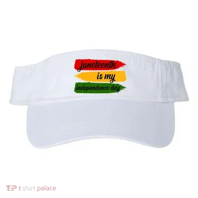 Visor