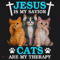 Jesus Is My Savior Cats Are My Therapy Christian Funny Cat Women's Hoodie thumb 2
