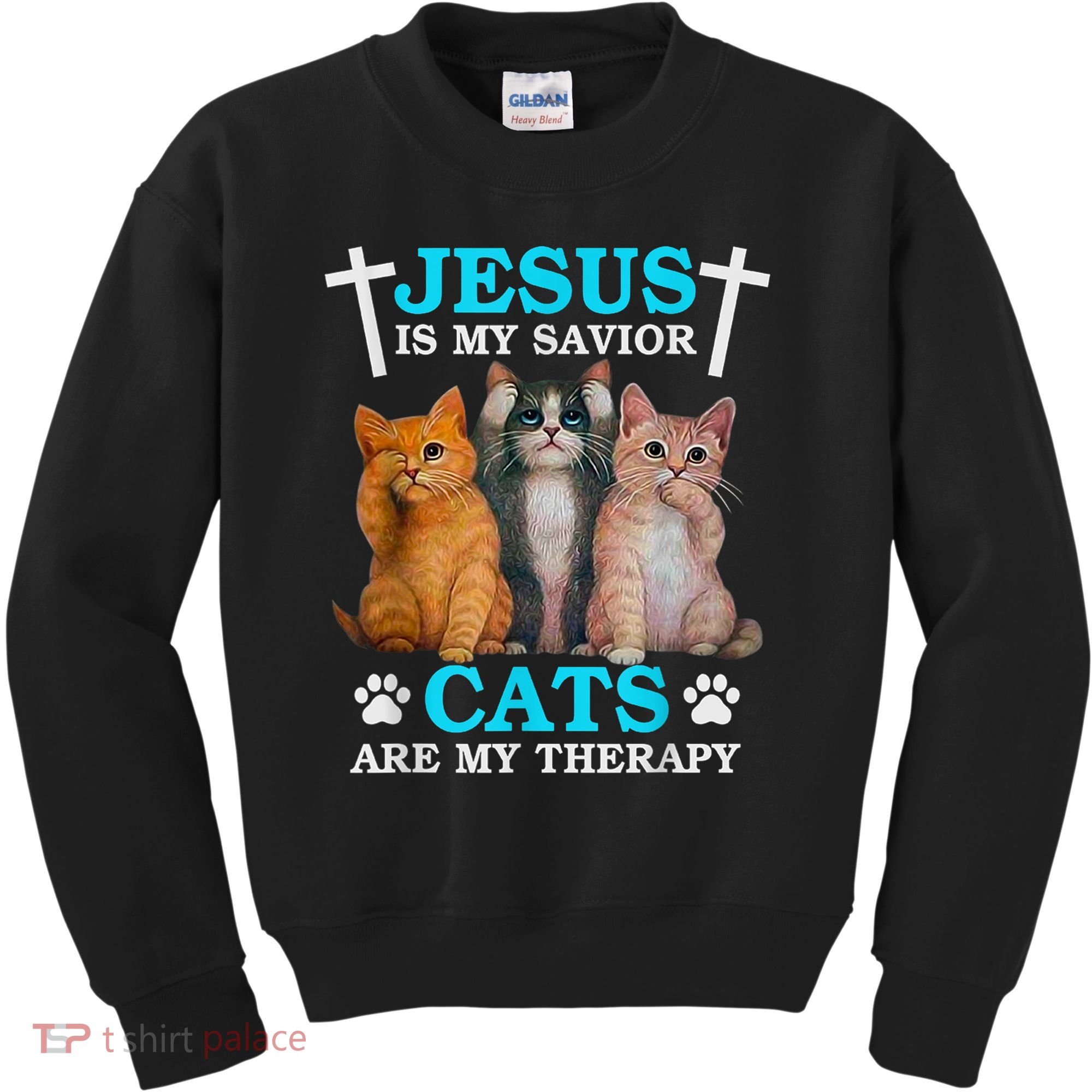 Jesus Is My Savior Cats Are My Therapy Christian Funny Cat Kids Sweatshirt