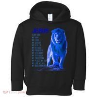 Jesus Is My Everything Quote Lion Christianity Toddler Hoodie thumb 0
