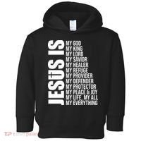 Jesus Is My Everything Toddler Hoodie thumb 0