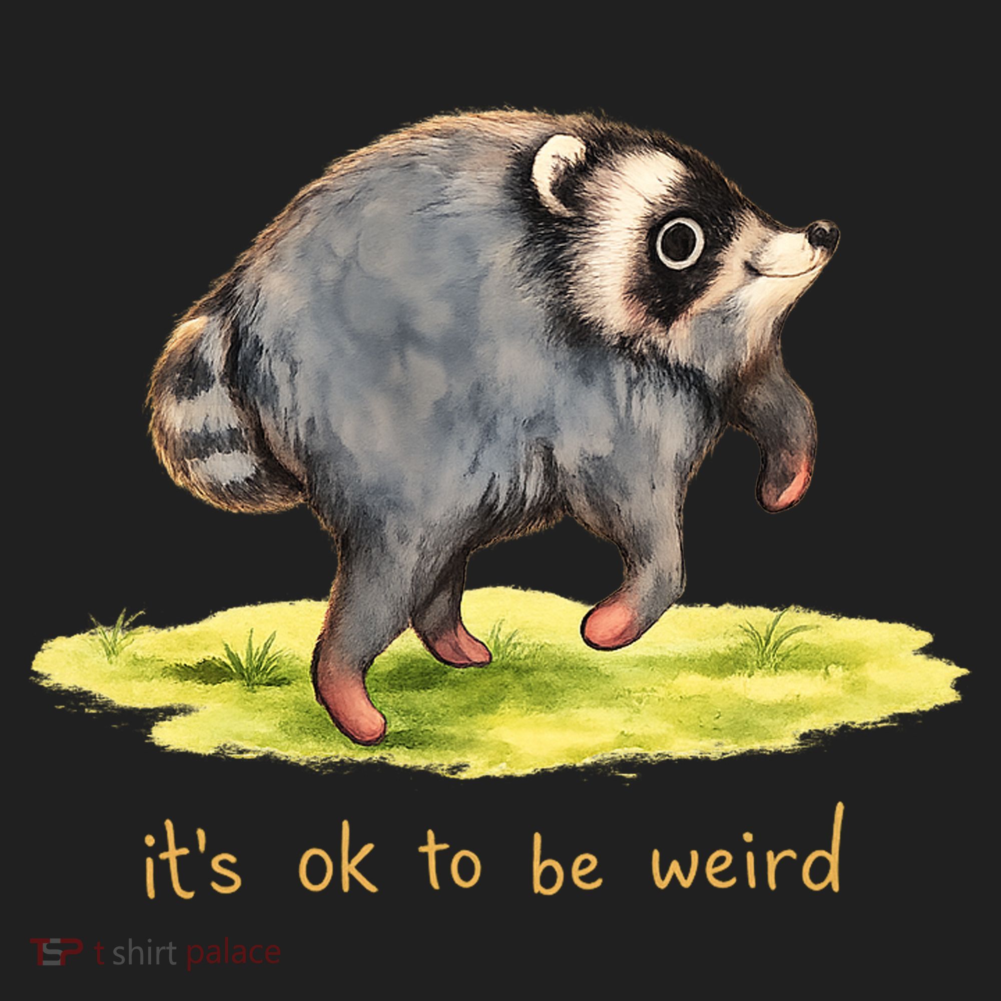 Jimothy It’s Okay To Be Weird Women's Sweatshirt