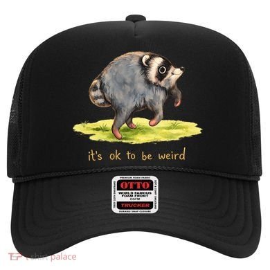 Jimothy It’s Okay To Be Weird Hat