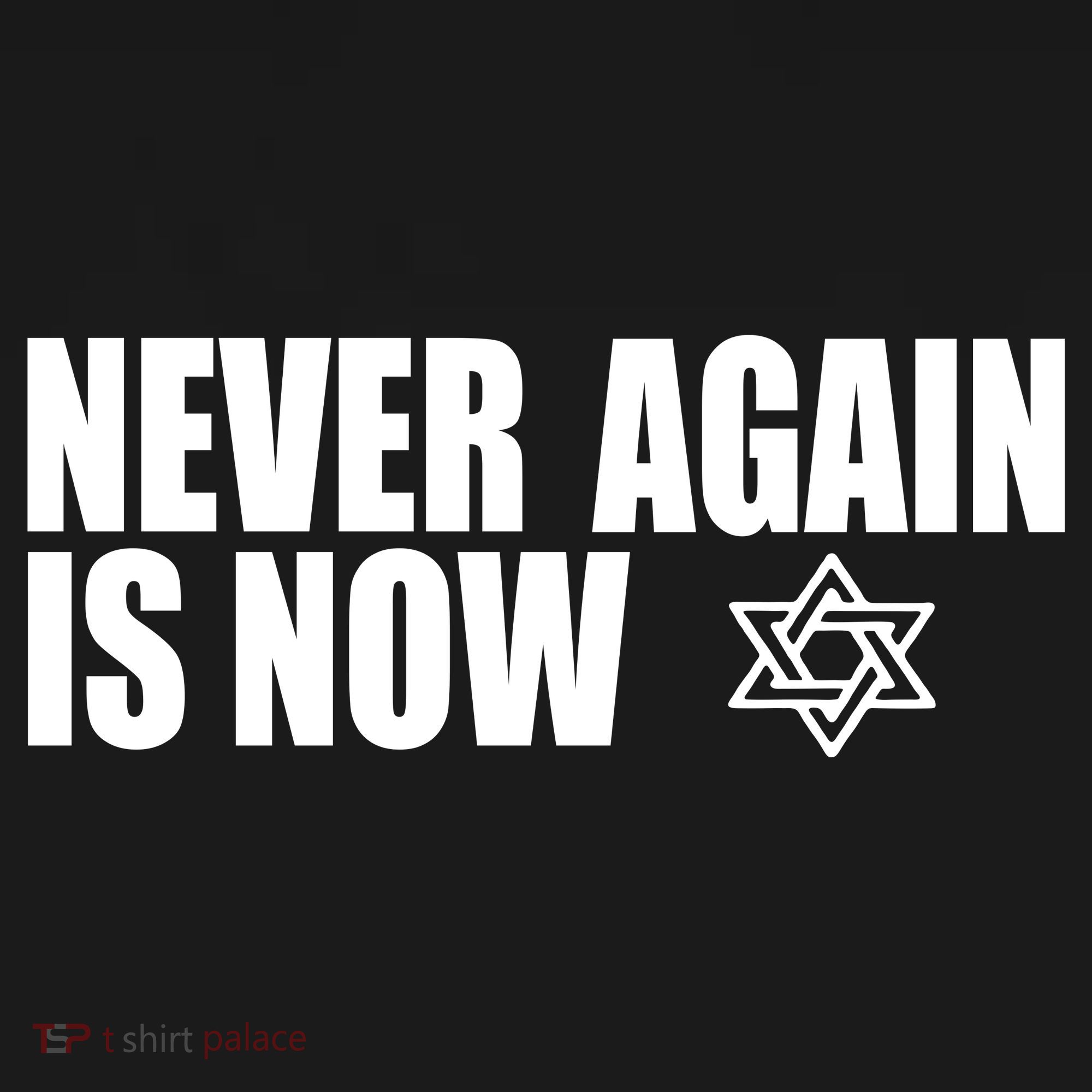 Jewish Israel Pride Am Yisrael Chai Never Again Is Now Women's Hoodie