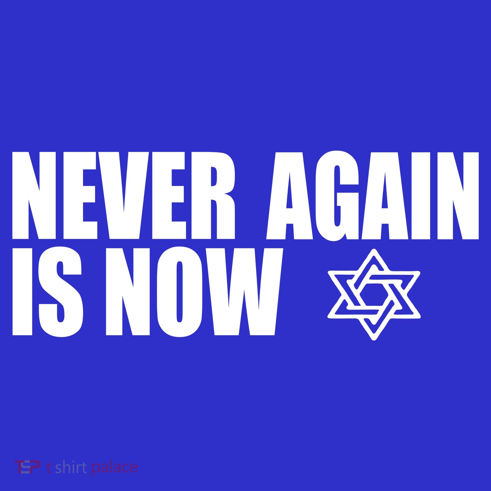 Jewish Israel Pride Am Yisrael Chai Never Again Is Now Sweatshirt