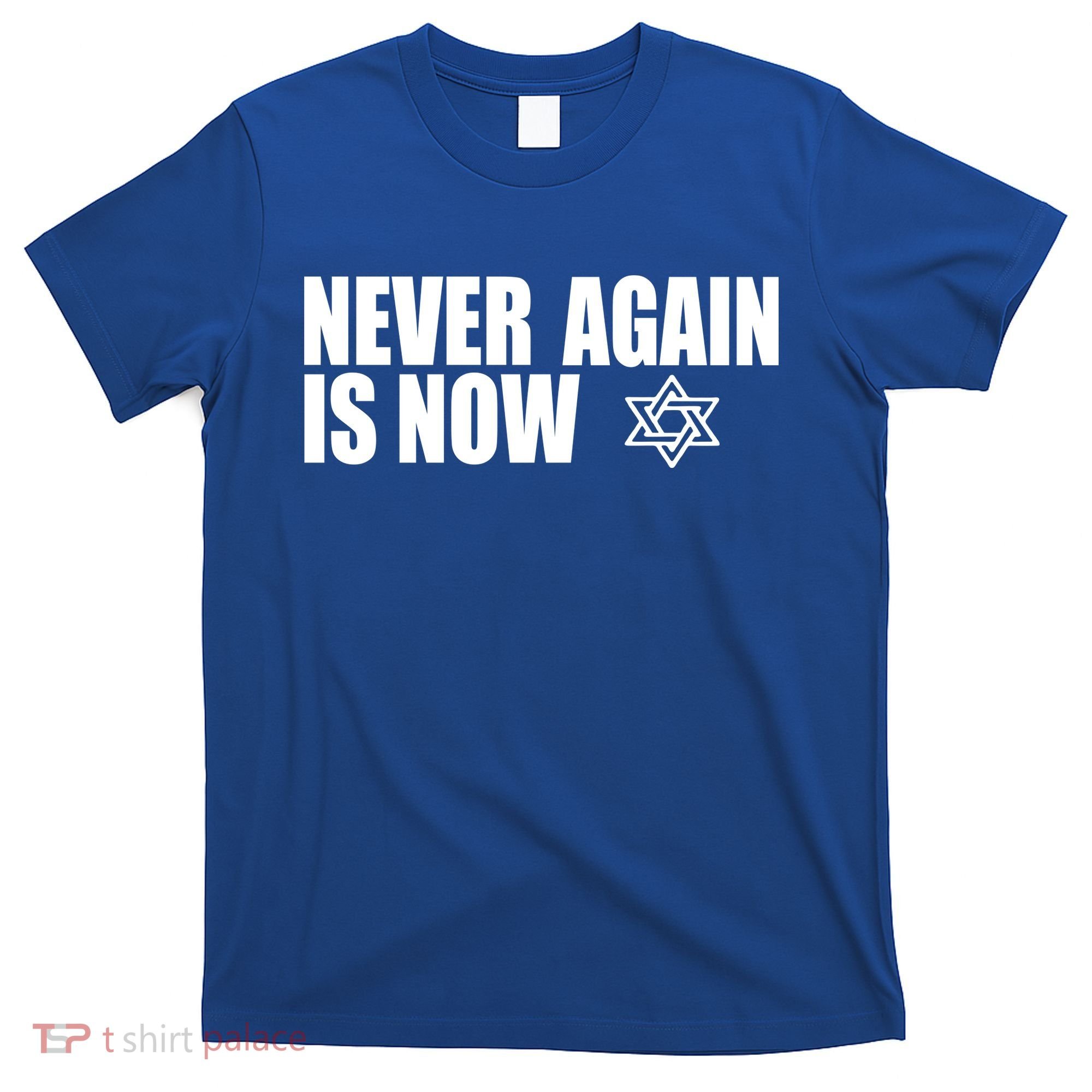 Jewish Israel Pride Am Yisrael Chai Never Again Is Now T-Shirt