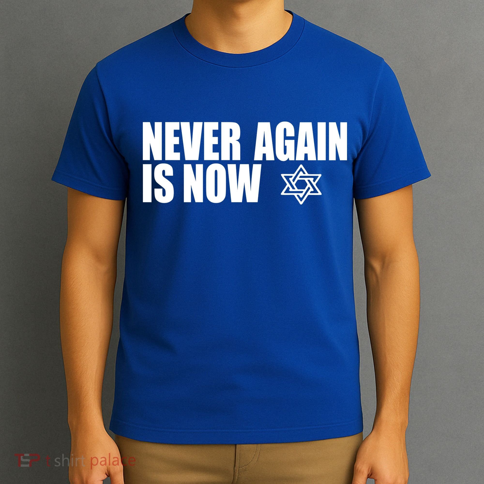 Jewish Israel Pride Am Yisrael Chai Never Again Is Now T-Shirt