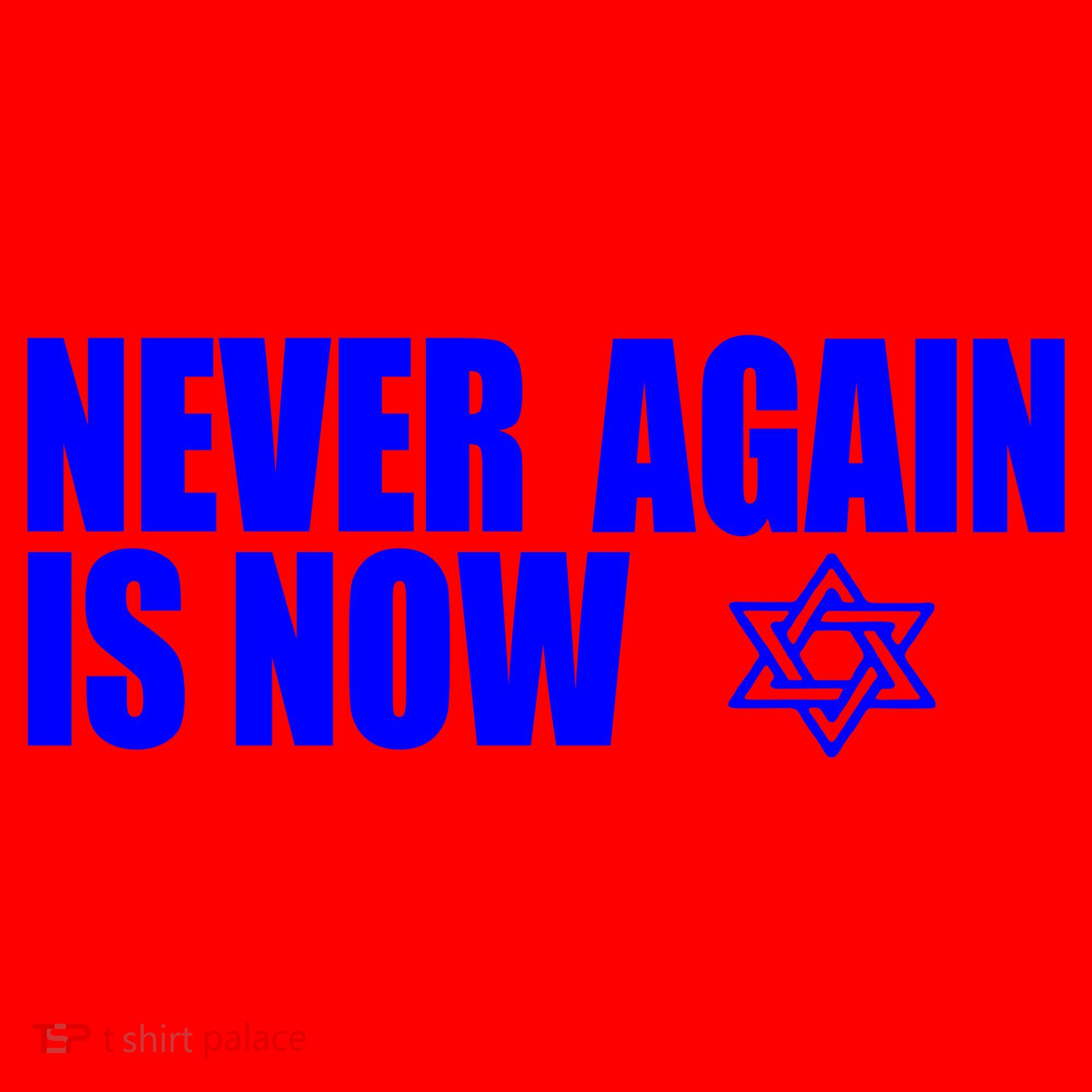 Jewish Israel Pride Am Yisrael Chai Never Again Is Now Santa Hat