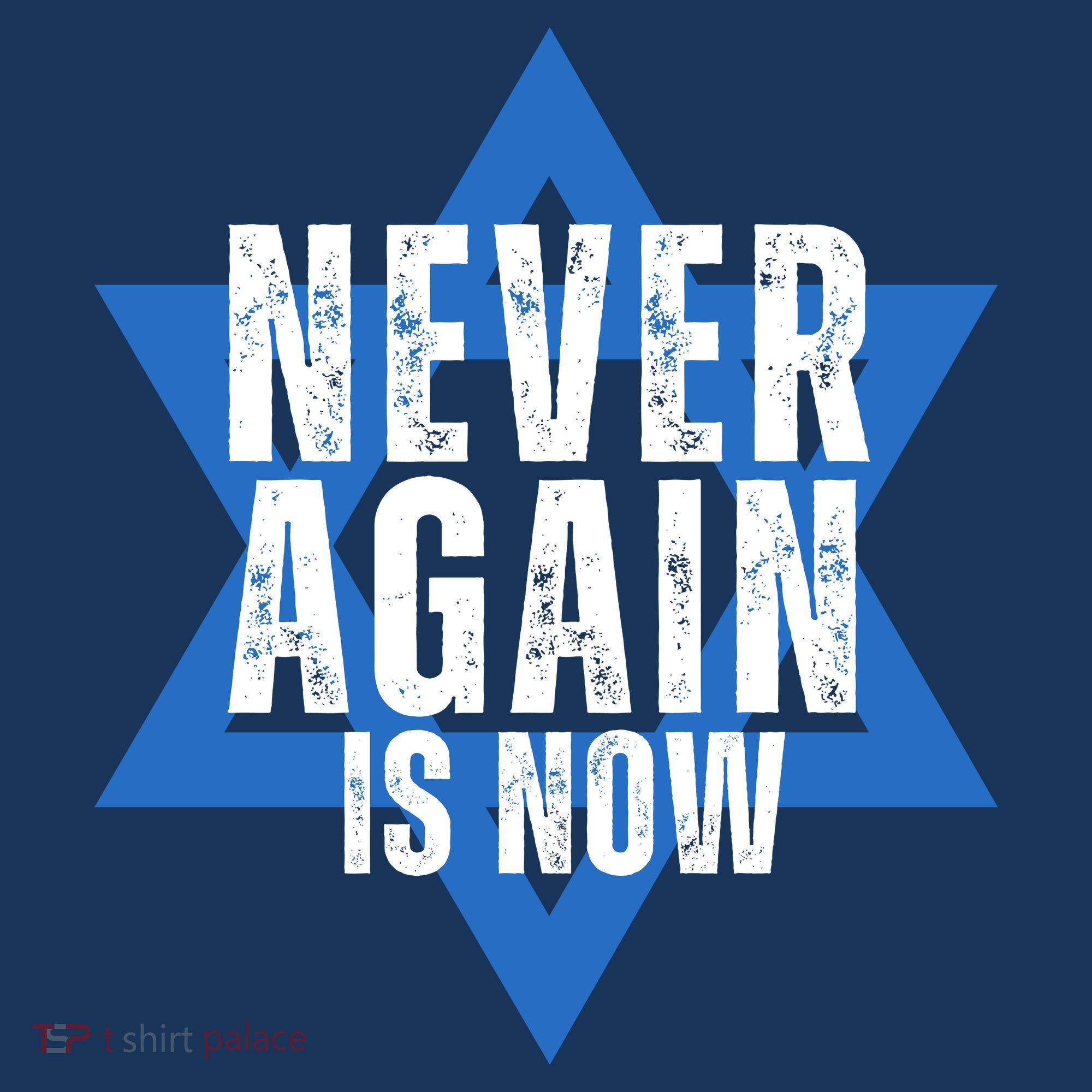 Jewish Israel Pride Am Yisrael Chai Never Again Is Now Women's Hoodie