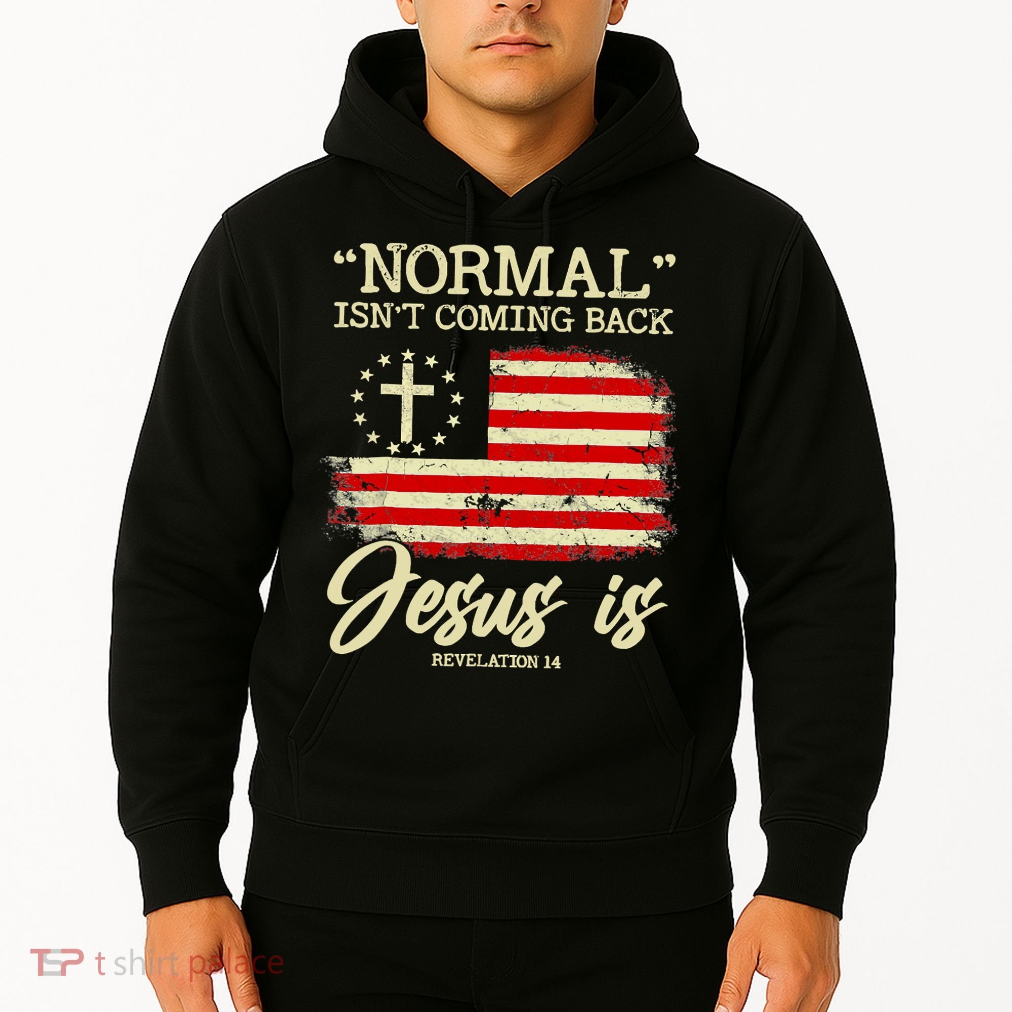 Jesus Is Revelation 14 Costume Normal Isn't Coming Back Hoodie