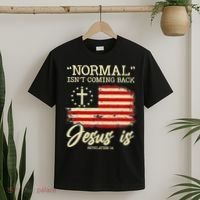 Jesus Is Revelation 14 Costume Normal Isn't Coming Back T-Shirt thumb 2