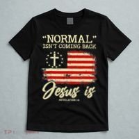 Jesus Is Revelation 14 Costume Normal Isn't Coming Back T-Shirt thumb 5