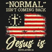 Jesus Is Revelation 14 Costume Normal Isn't Coming Back T-Shirt thumb 7