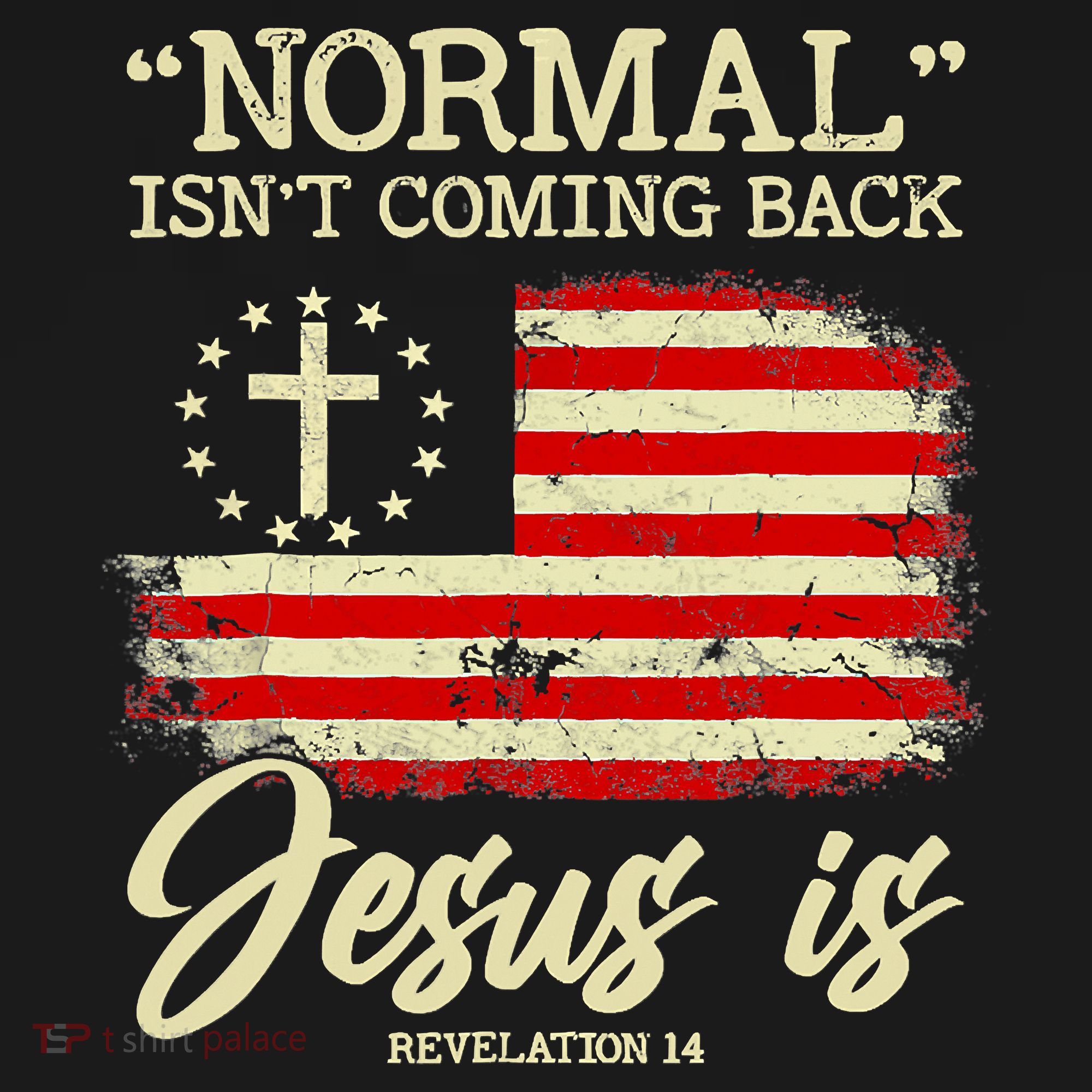 Jesus Is Revelation 14 Costume Normal Isn't Coming Back Mousepad