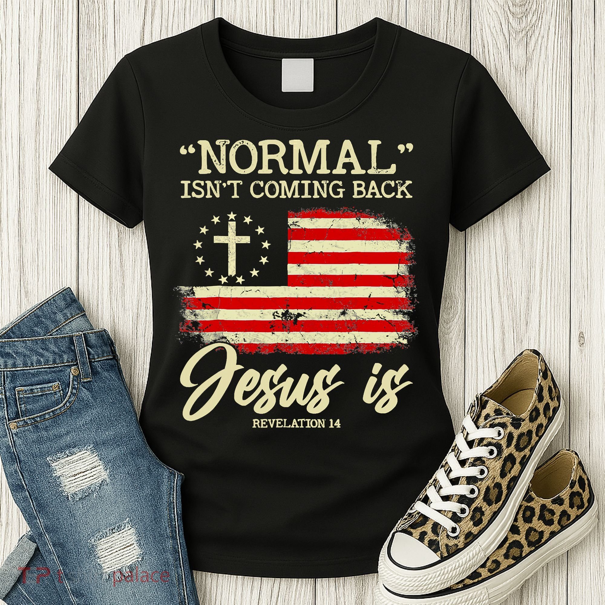 Jesus Is Revelation 14 Costume Normal Isn't Coming Back Women's T-Shirt