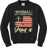 Jesus Is Revelation 14 Costume Normal Isn't Coming Back Kids Sweatshirt thumb 0