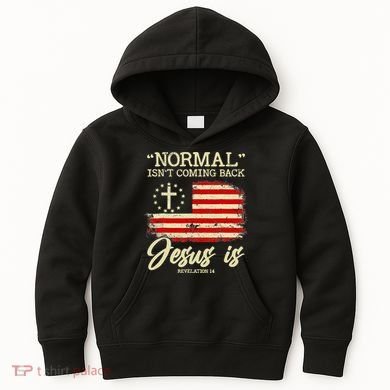 Jesus Is Revelation 14 Costume Normal Isn't Coming Back Kids Hoodie
