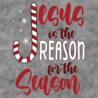 Jesus Is The Reason For The Season Candy Cane Christmas Toddler Hoodie thumb 2