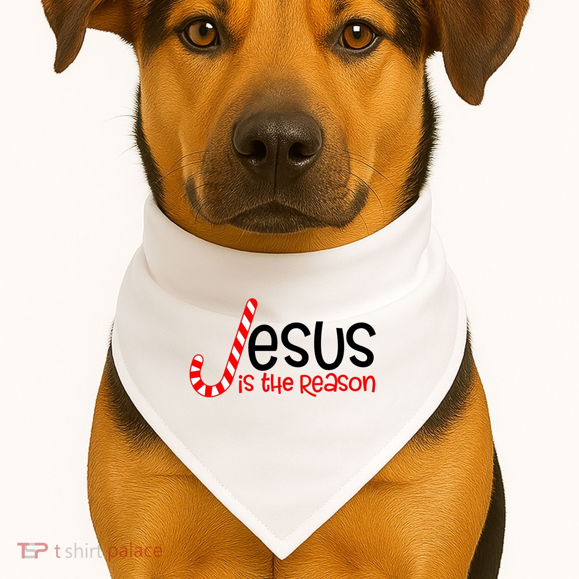 Jesus Is The Reason Candy Cane Christmas USA-Made Doggie Bandana