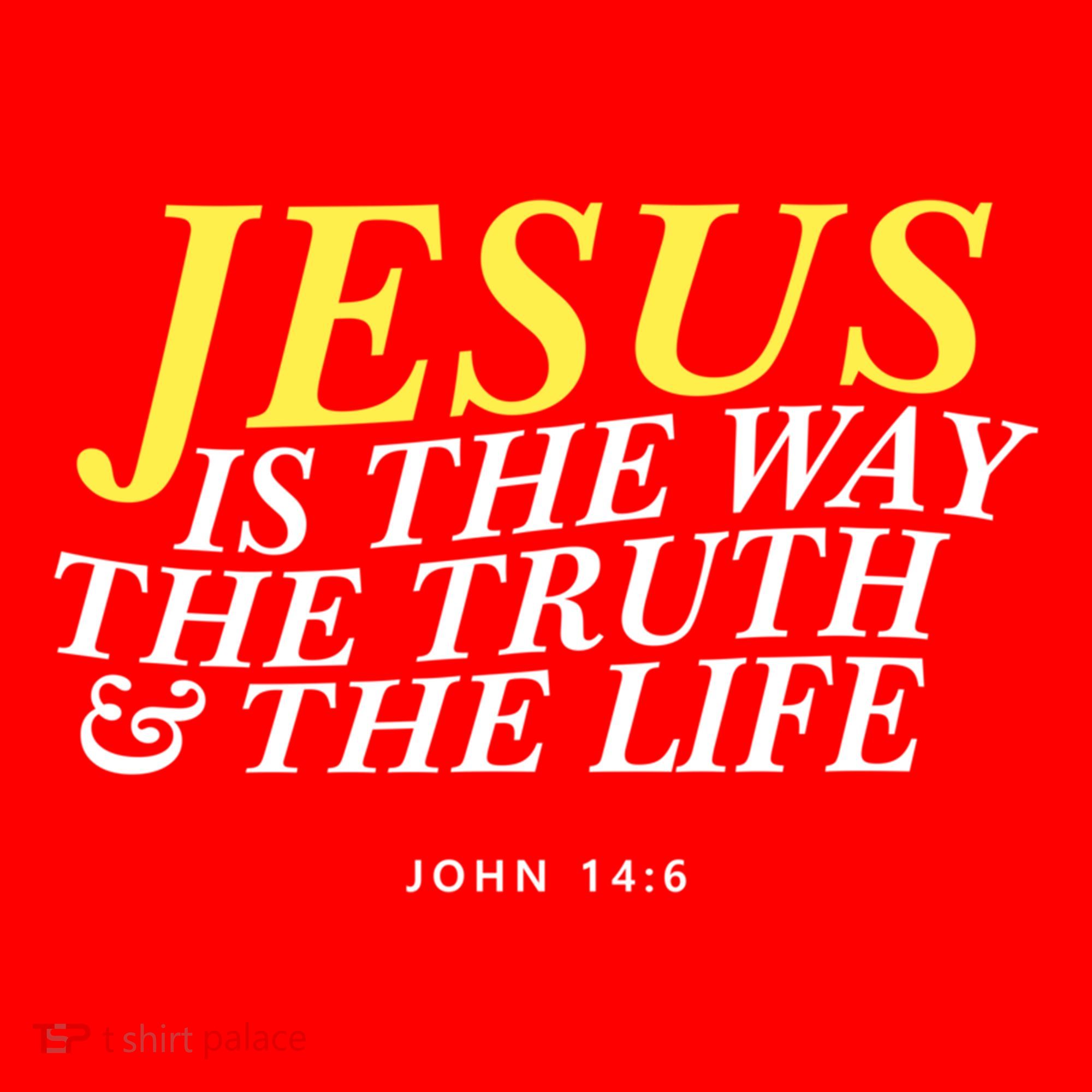 Jesus Is The Way The Truth Gift Santa Hat