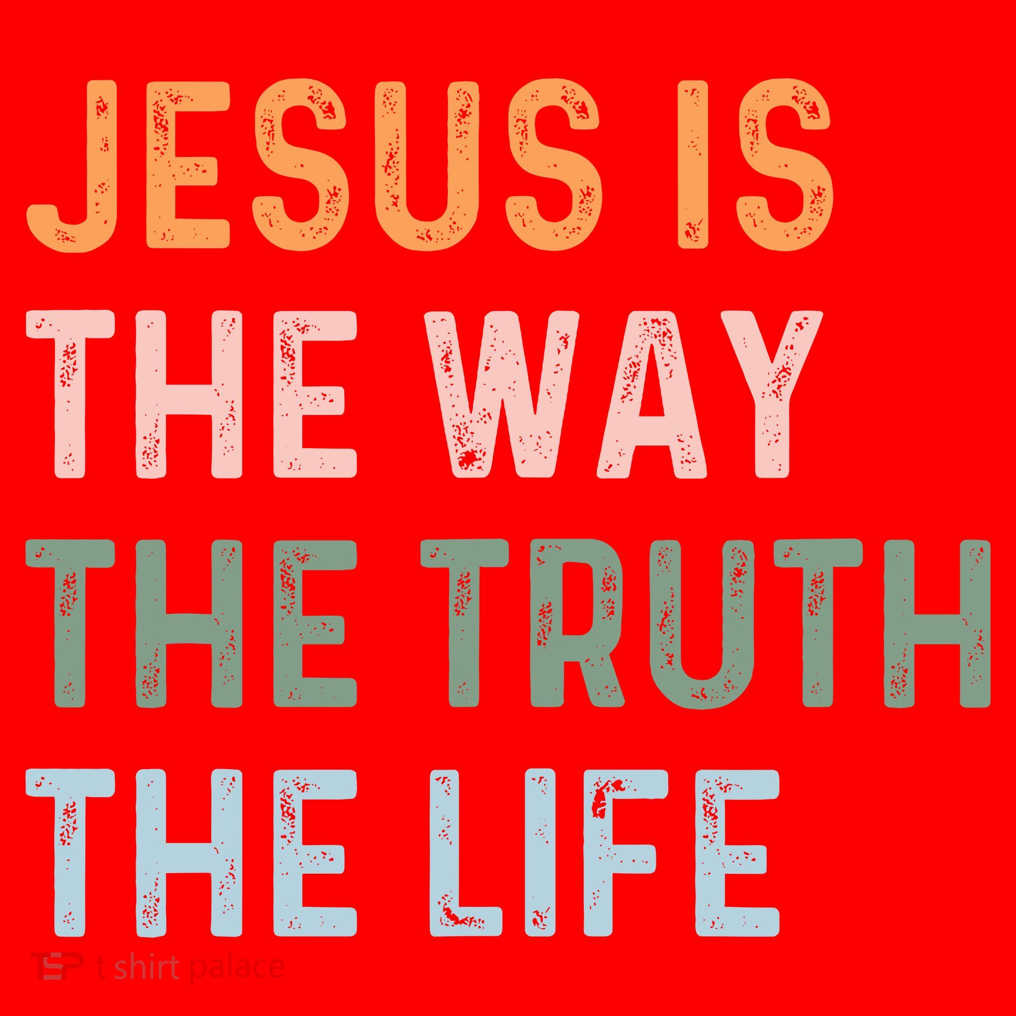 Jesus Is The Way The Truth The Life Christian Quote Santa Hat