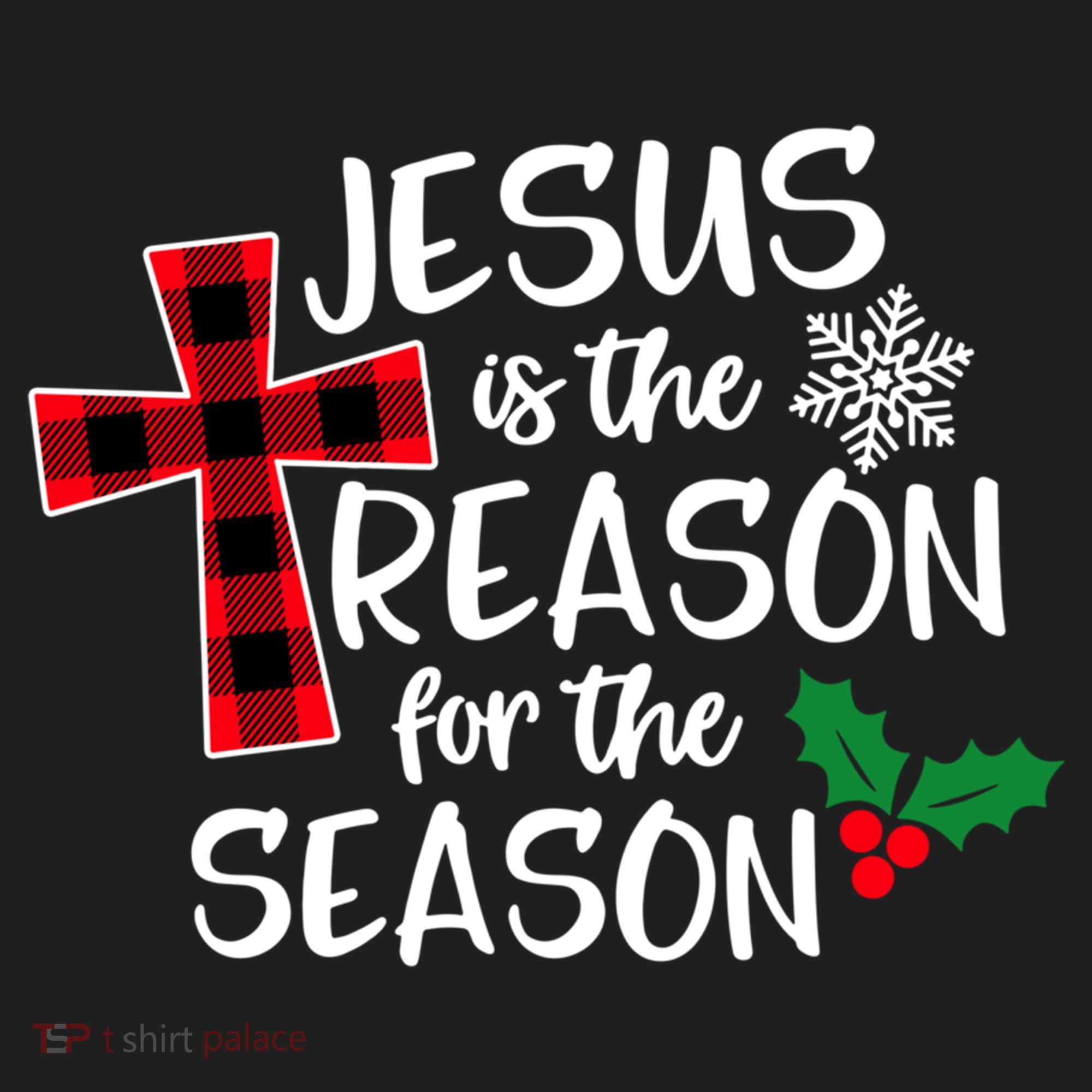 Jesus Is The Reason For The Season Christian Christmas Meaningful Gift Beanie