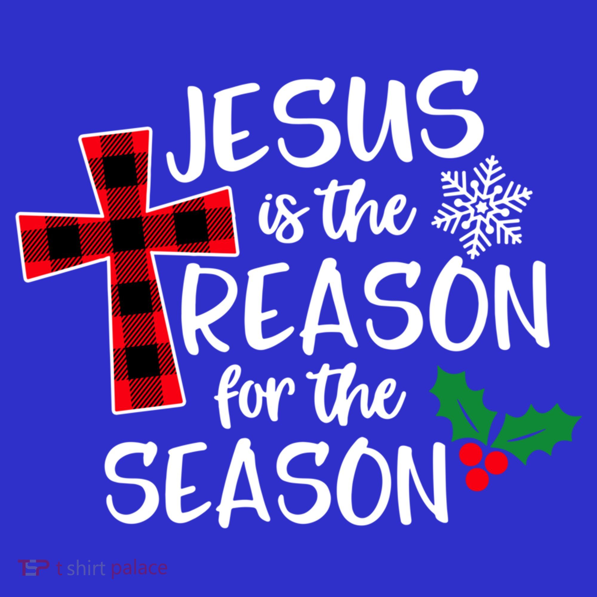 Jesus Is The Reason For The Season Christian Christmas Meaningful Gift Apron