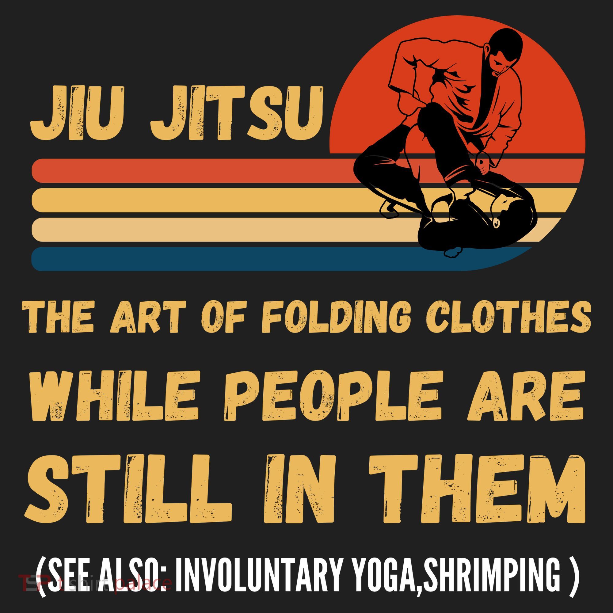 Jiu Jitsu Art Of Folding Clothes BJJ MMA Jujitsu Beanie