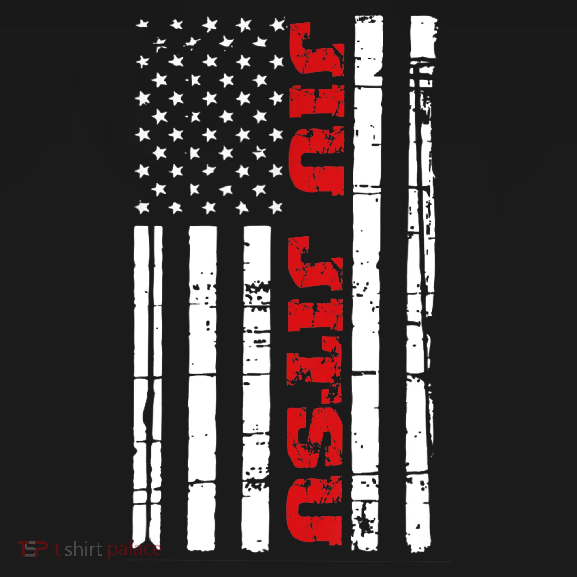 Jiu Jitsu Flag TShirt American Jiu Jitsu Shirt BJJ Sweatshirt