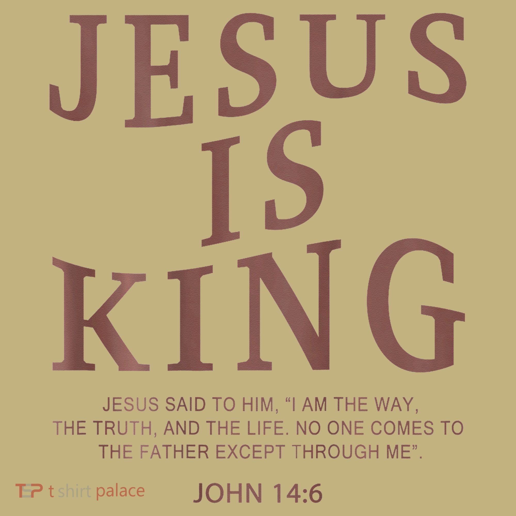 Jesus King Christian Teen Girl God Good Son Brother T-Shirt
