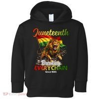 Juneteenth Lion Freedom Toddler Hoodie thumb 0