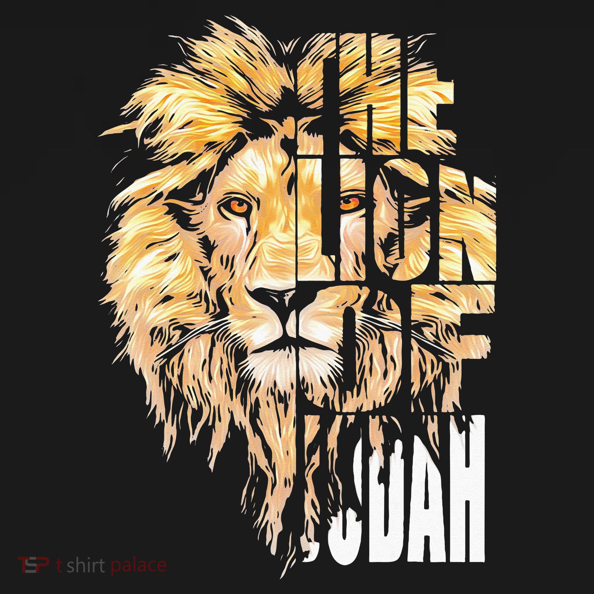 Jesus Lion Of Judah Christian Gift For Men Women T-Shirt