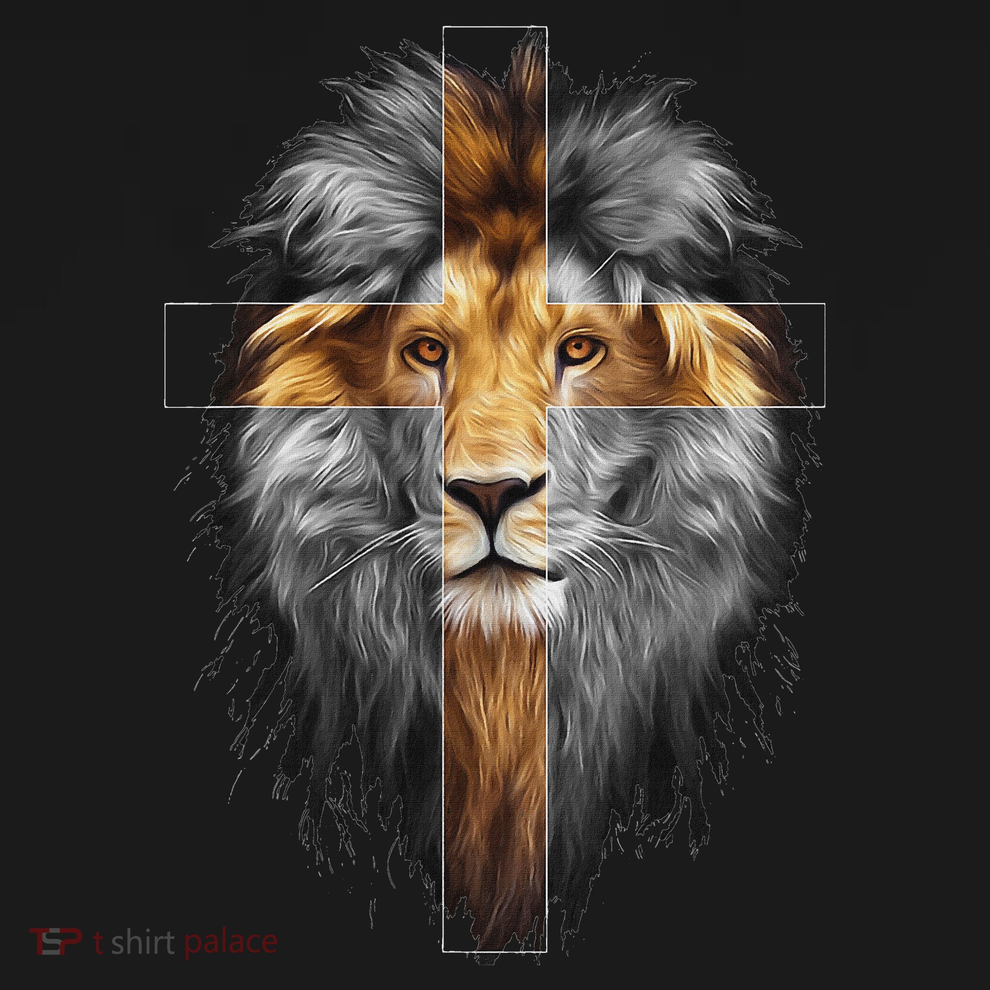 Jesus Lion Of Judah Women's Hoodie