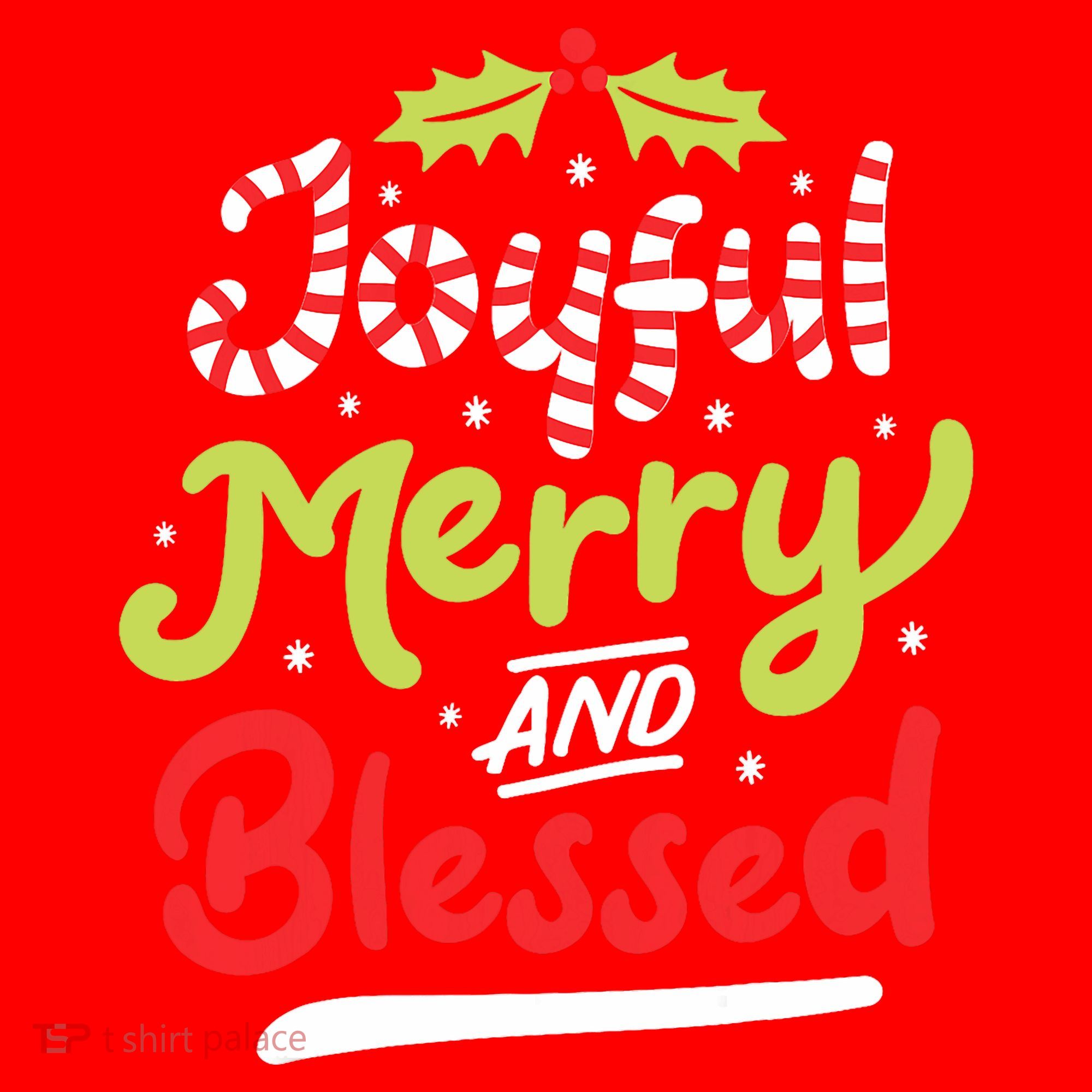 Joyful Merry And Blessed Christmas Xmas Holiday Santa Hat